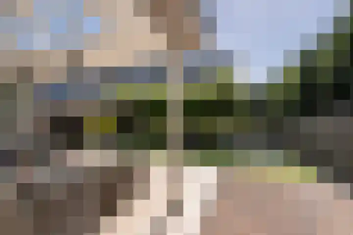 Arend Vijfvinkelplein 20 Den Haag thumbnail 20
