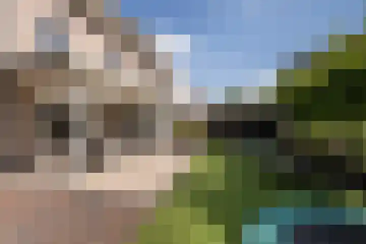 Arend Vijfvinkelplein 20 Den Haag thumbnail 21
