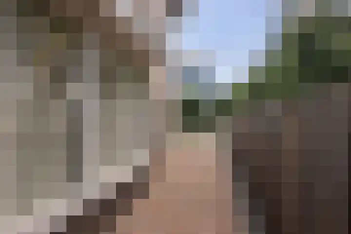 Arend Vijfvinkelplein 20 Den Haag thumbnail 23