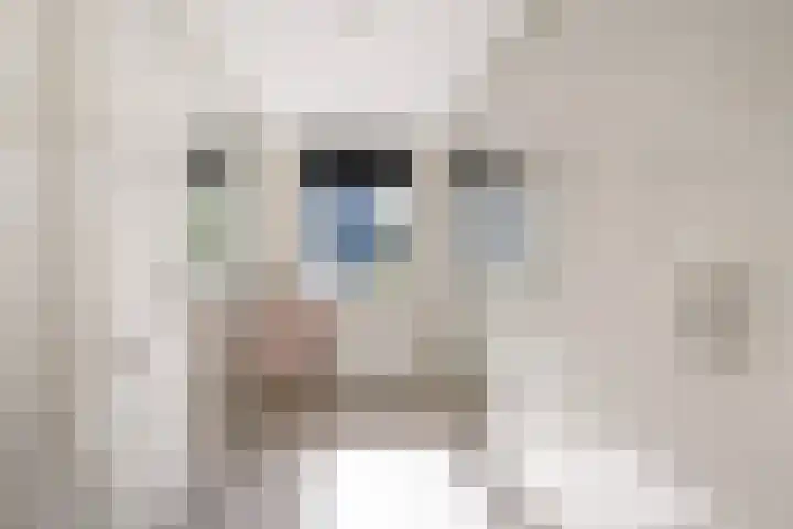 Arend Vijfvinkelplein 20 Den Haag thumbnail 39