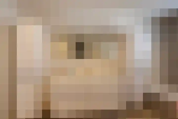 Arend Vijfvinkelplein 20 Den Haag thumbnail 42