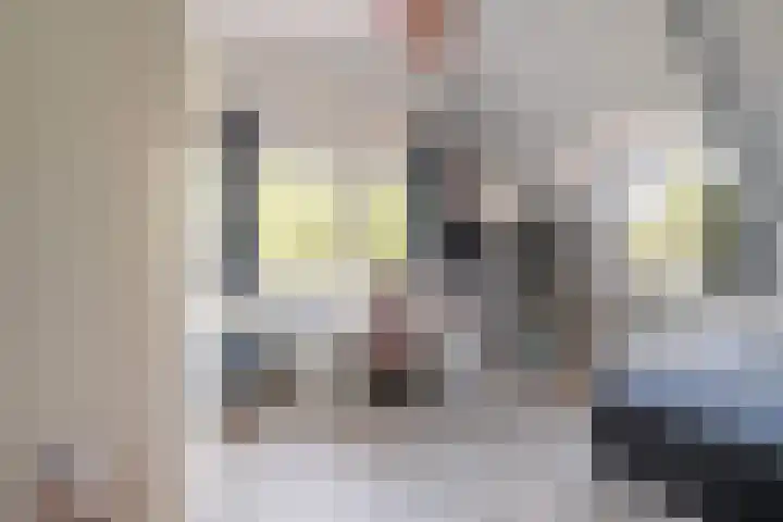 Arend Vijfvinkelplein 20 Den Haag thumbnail 49