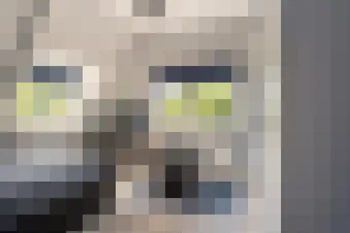 Arend Vijfvinkelplein 20 Den Haag thumbnail 54