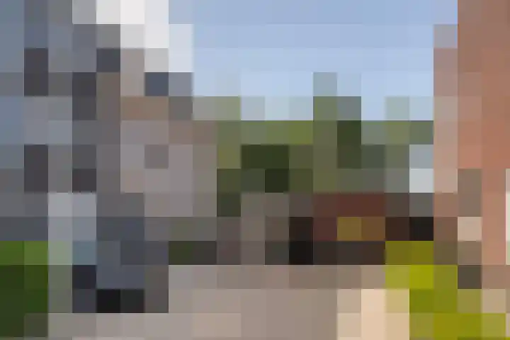 Arend Vijfvinkelplein 20 Den Haag thumbnail 55