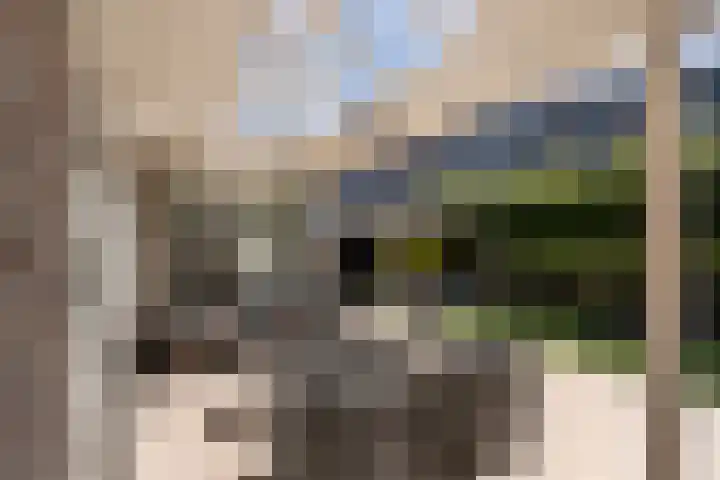 Arend Vijfvinkelplein 20 Den Haag thumbnail 7