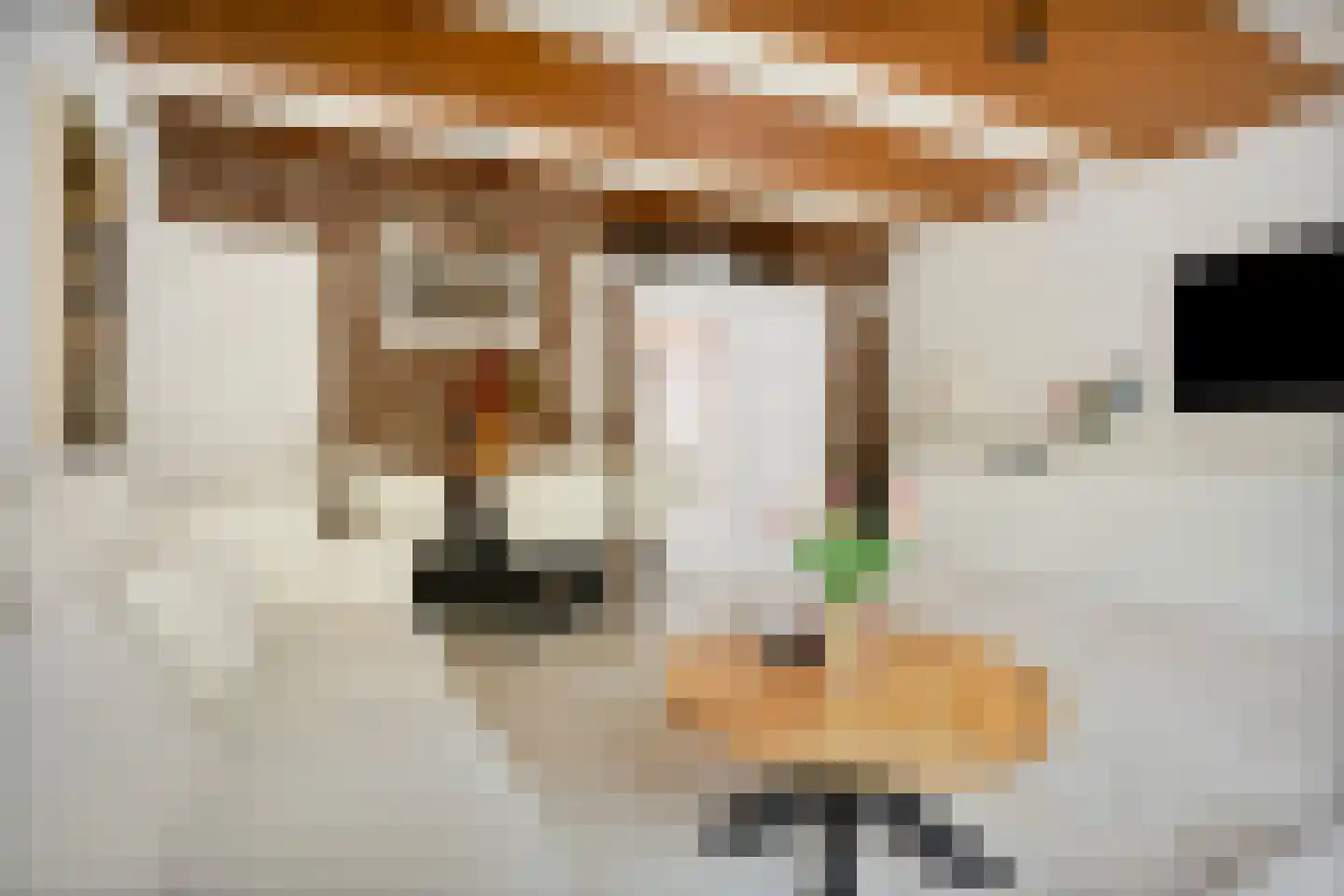 Arendhoek 15 Spijkenisse thumbnail 11