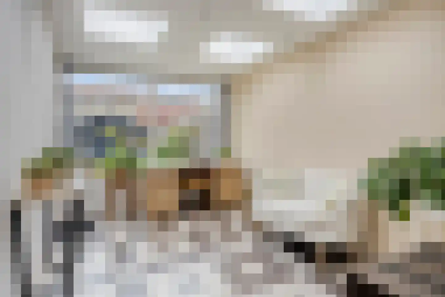 Arendhoek 15 Spijkenisse thumbnail 18