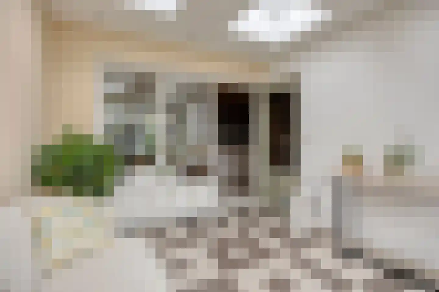 Arendhoek 15 Spijkenisse thumbnail 20