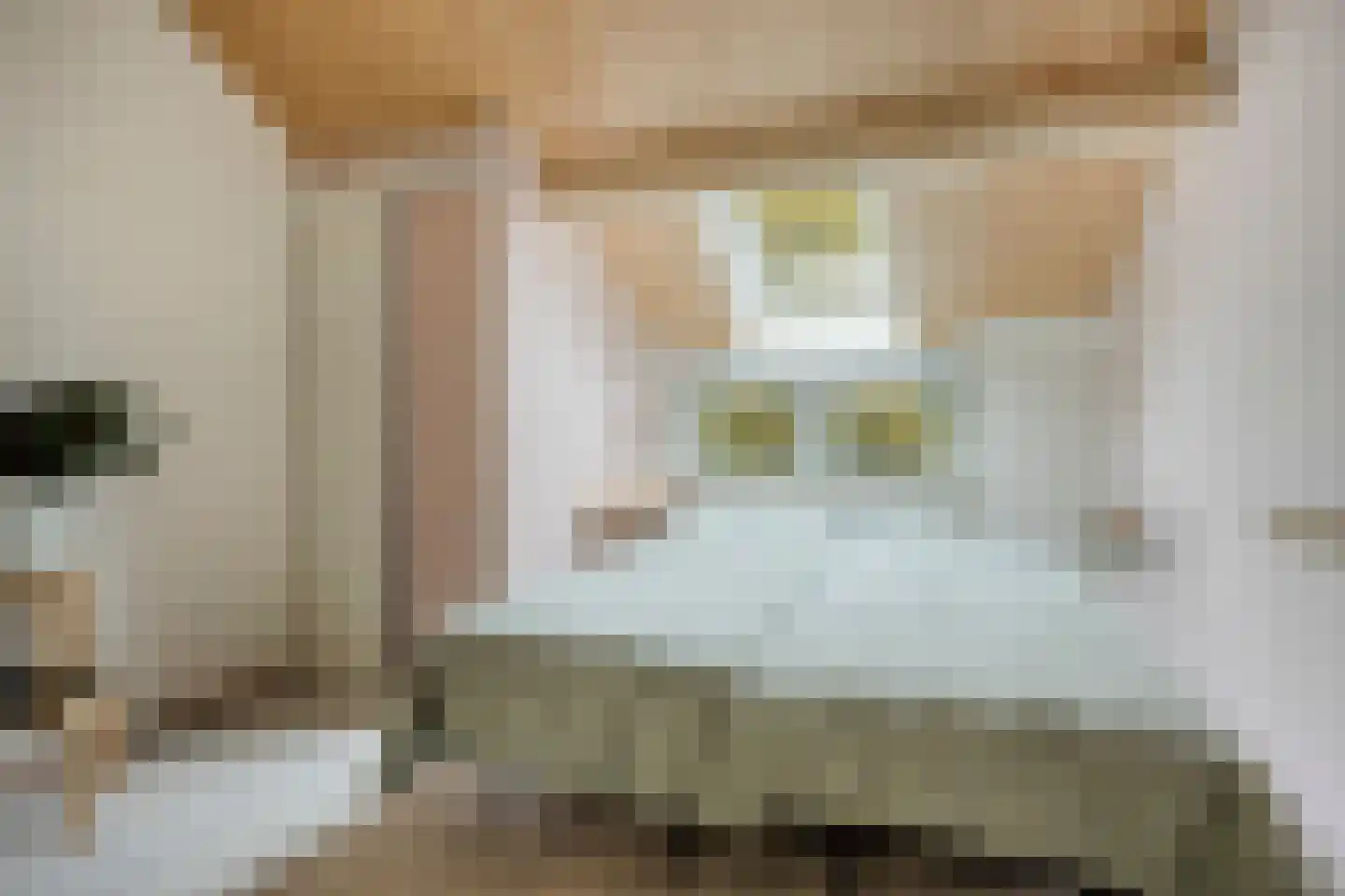 Arendhoek 15 Spijkenisse thumbnail 35