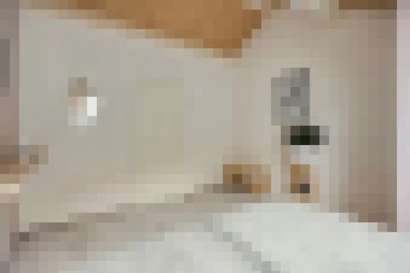 Arendhoek 15 Spijkenisse thumbnail 36