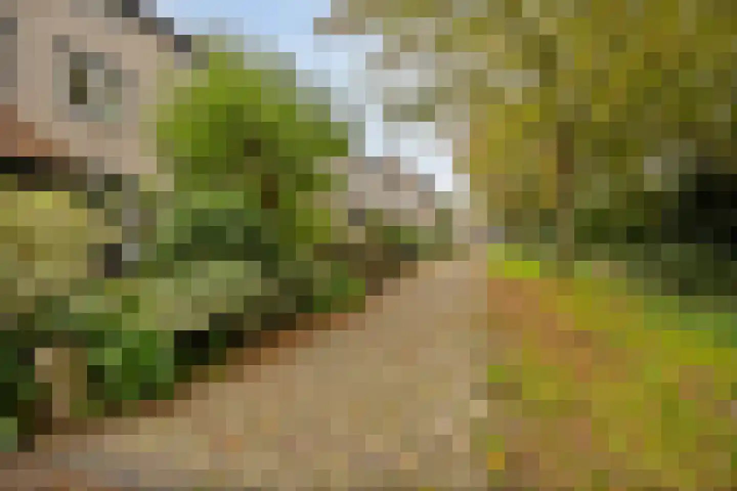 Arendhoek 15 Spijkenisse thumbnail 43