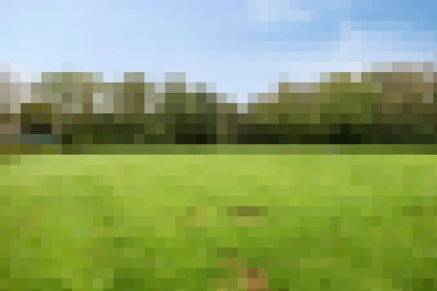 Arendhoek 15 Spijkenisse thumbnail 44
