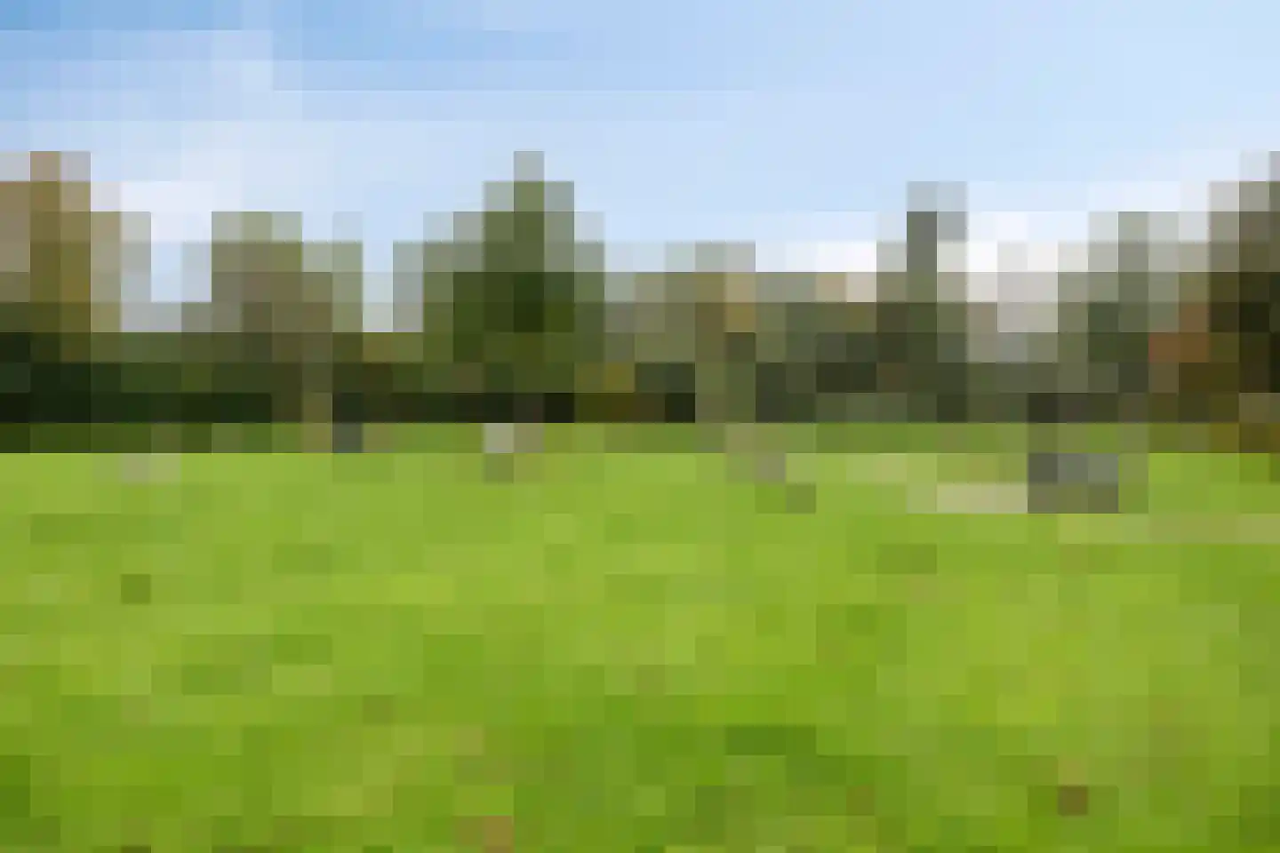 Arendhoek 15 Spijkenisse thumbnail 45