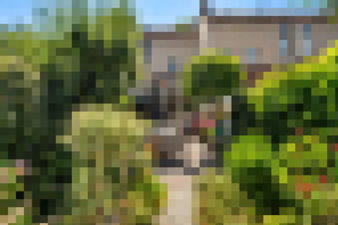 Arendhoek 25 Spijkenisse thumbnail 17