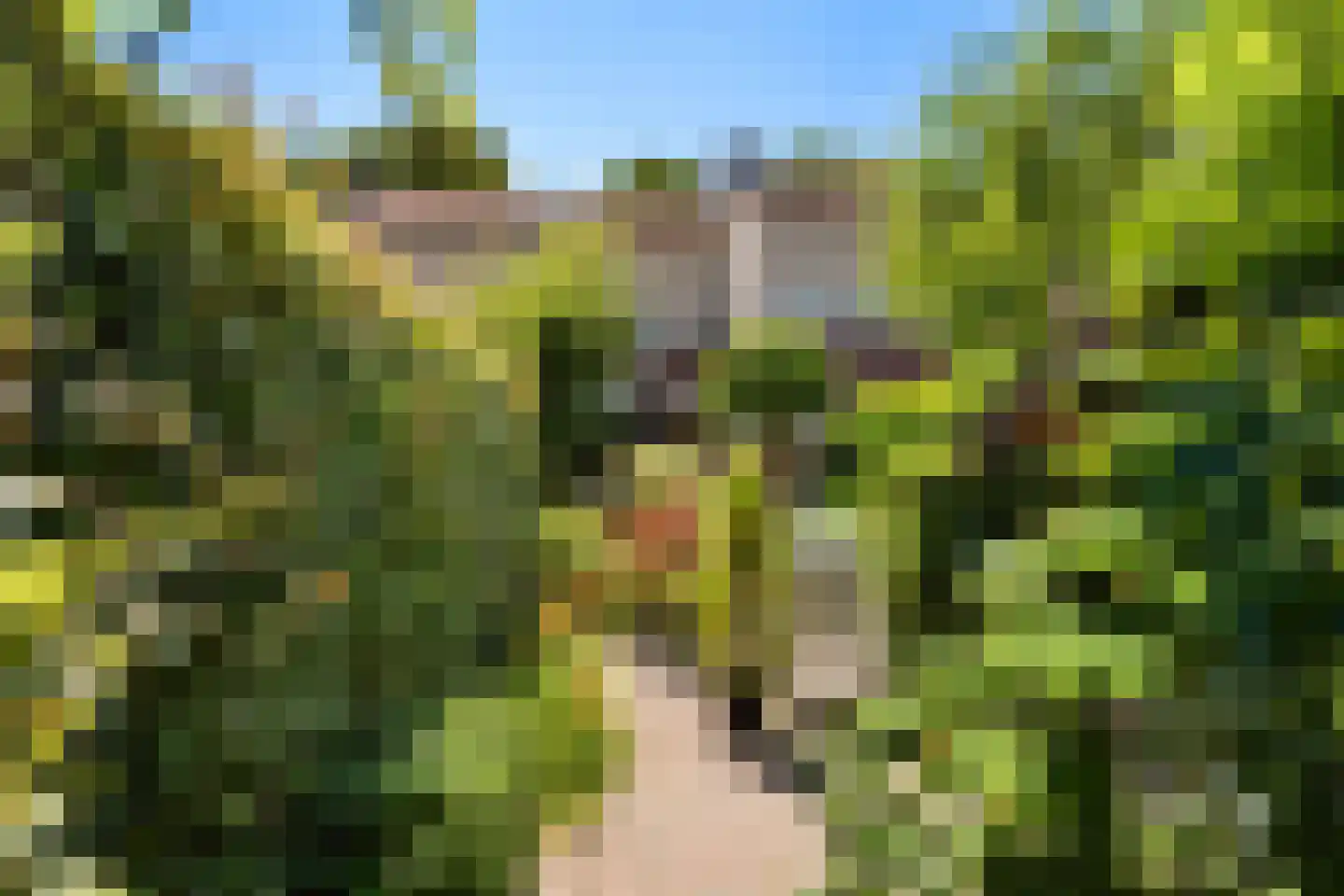 Arendhoek 25 Spijkenisse thumbnail 20