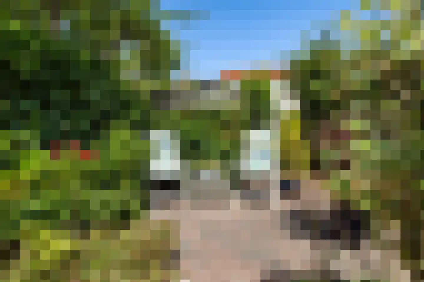 Arendhoek 25 Spijkenisse thumbnail 22