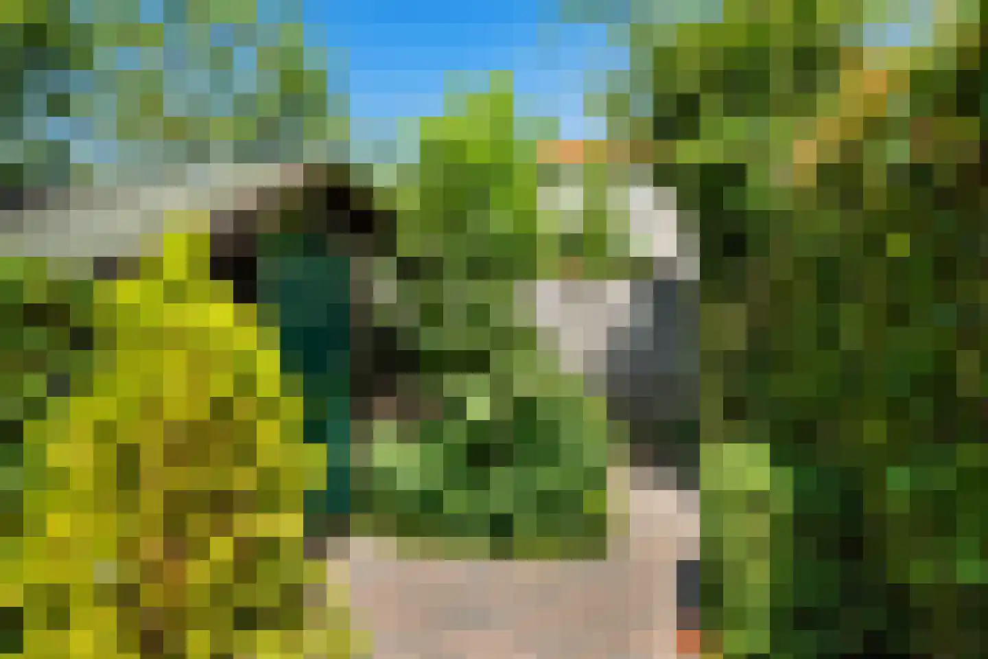 Arendhoek 25 Spijkenisse thumbnail 23