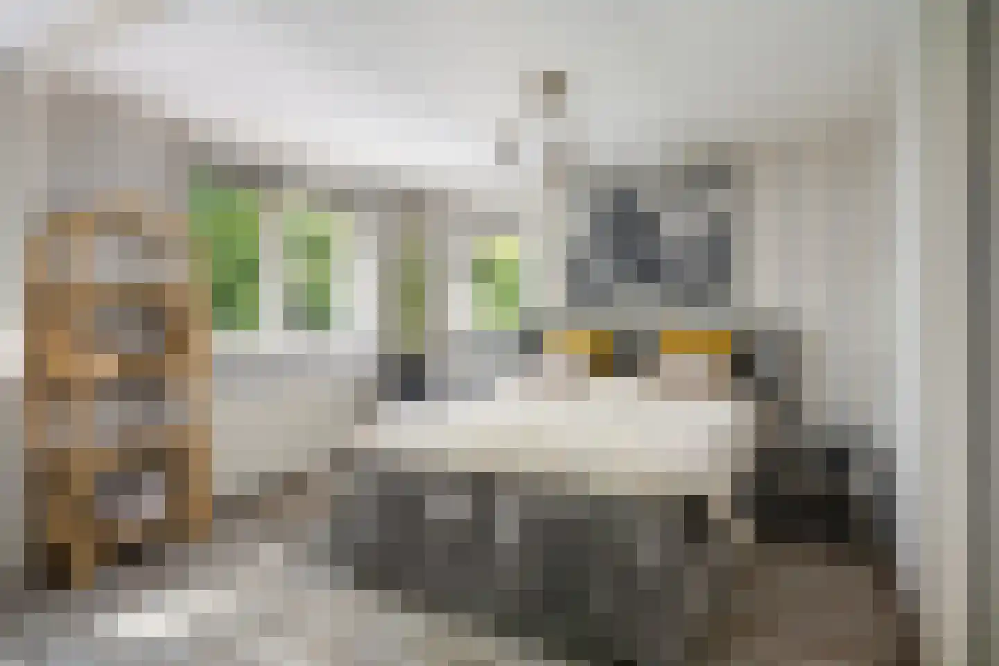 Arendhoek 25 Spijkenisse thumbnail 26