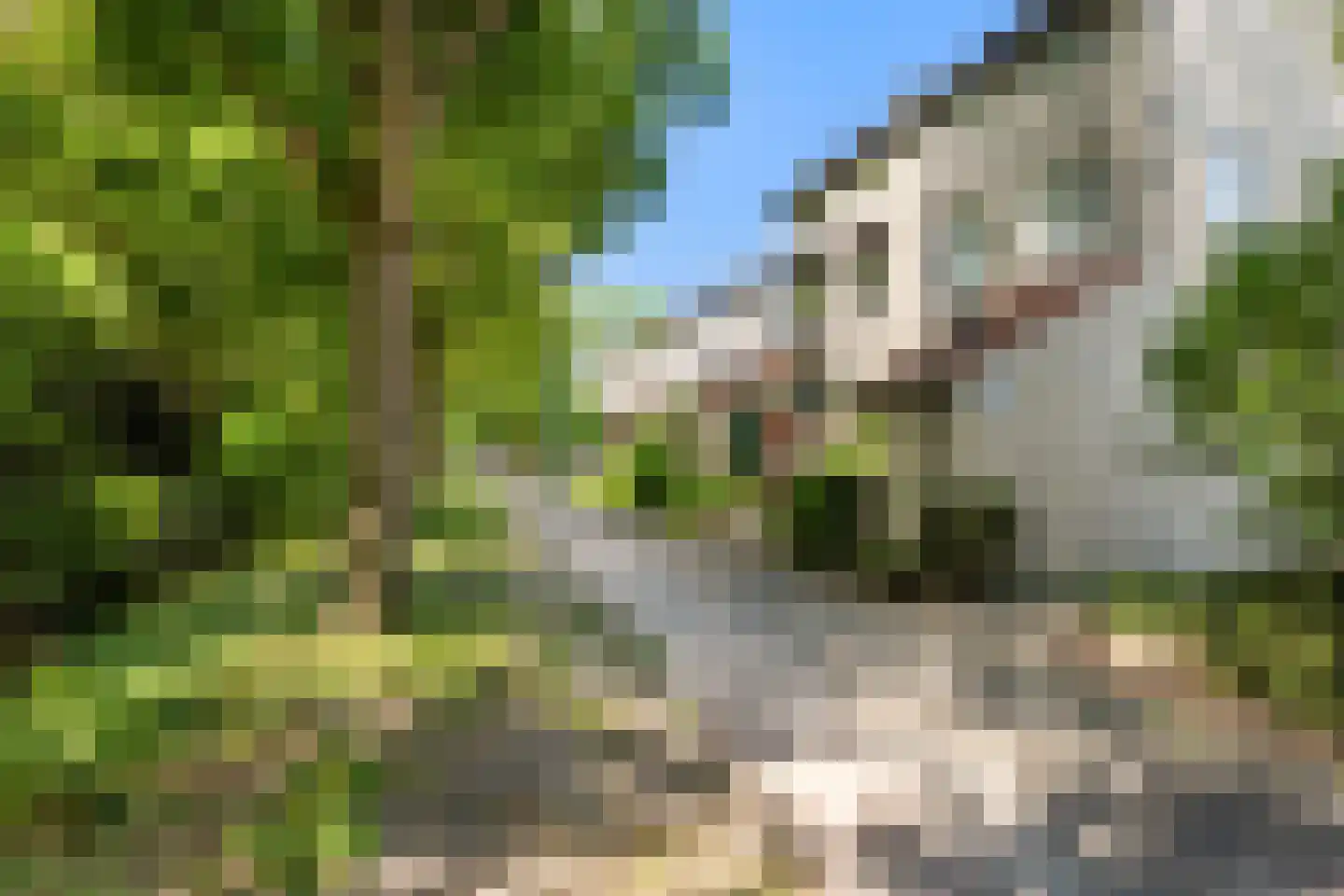 Arendhoek 25 Spijkenisse thumbnail 34
