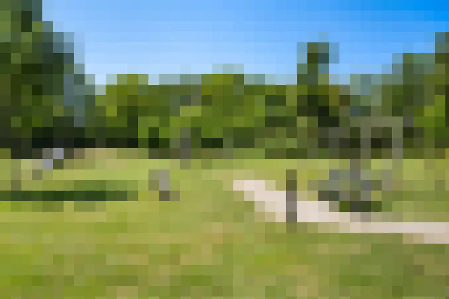 Arendhoek 25 Spijkenisse thumbnail 36