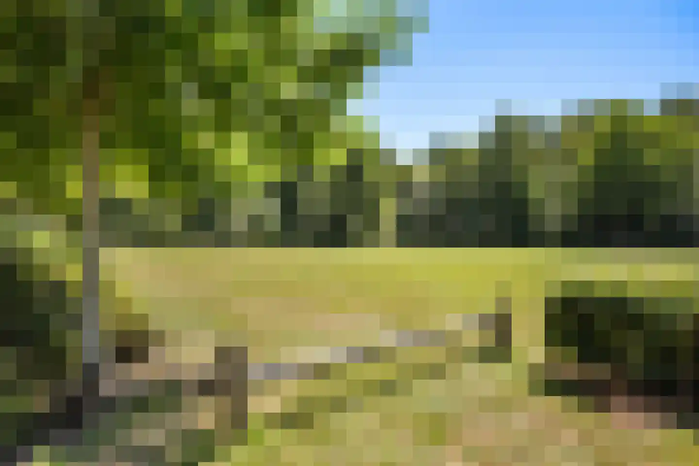 Arendhoek 25 Spijkenisse thumbnail 37