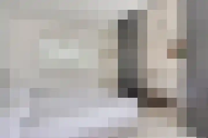 Arendhof 10 Nuenen thumbnail 19