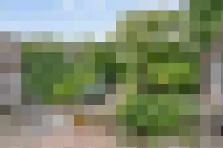 Arendhof 10 Nuenen thumbnail 25