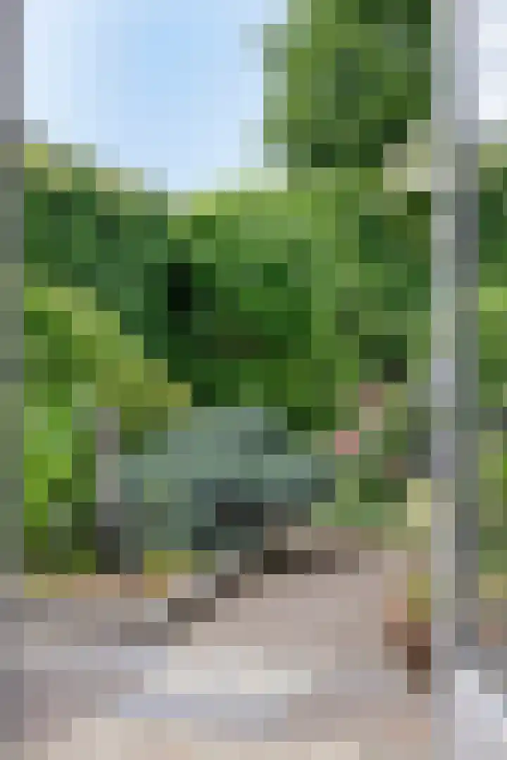 Arendhof 10 Nuenen thumbnail 26