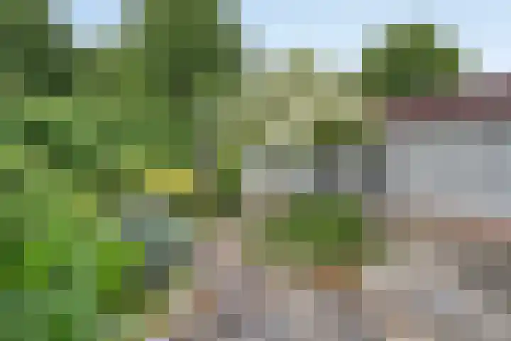 Arendhof 10 Nuenen thumbnail 28