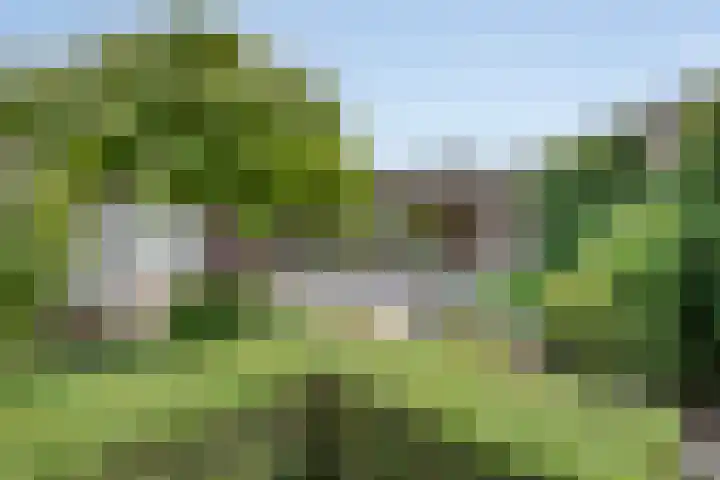 Arendhof 10 Nuenen thumbnail 29