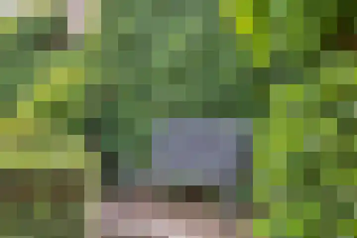 Arendhof 10 Nuenen thumbnail 30