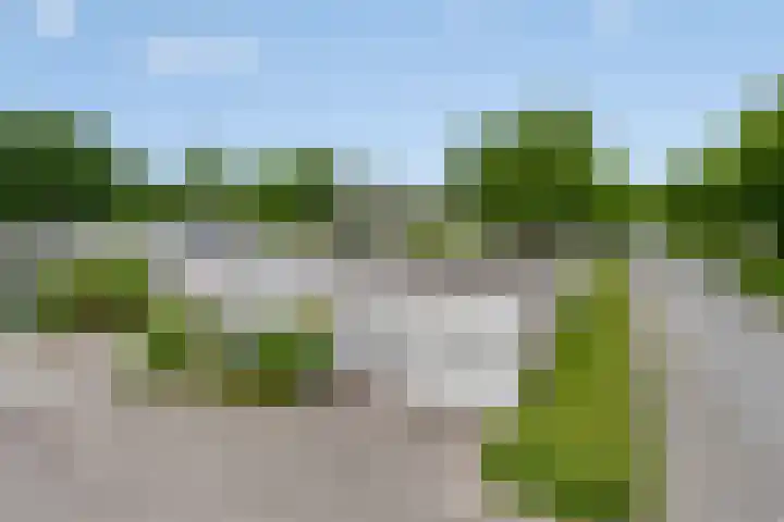 Arendhof 10 Nuenen thumbnail 34
