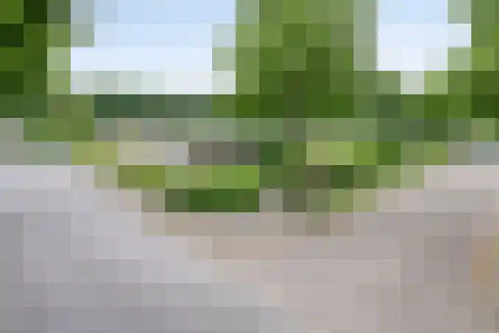 Arendhof 10 Nuenen thumbnail 35