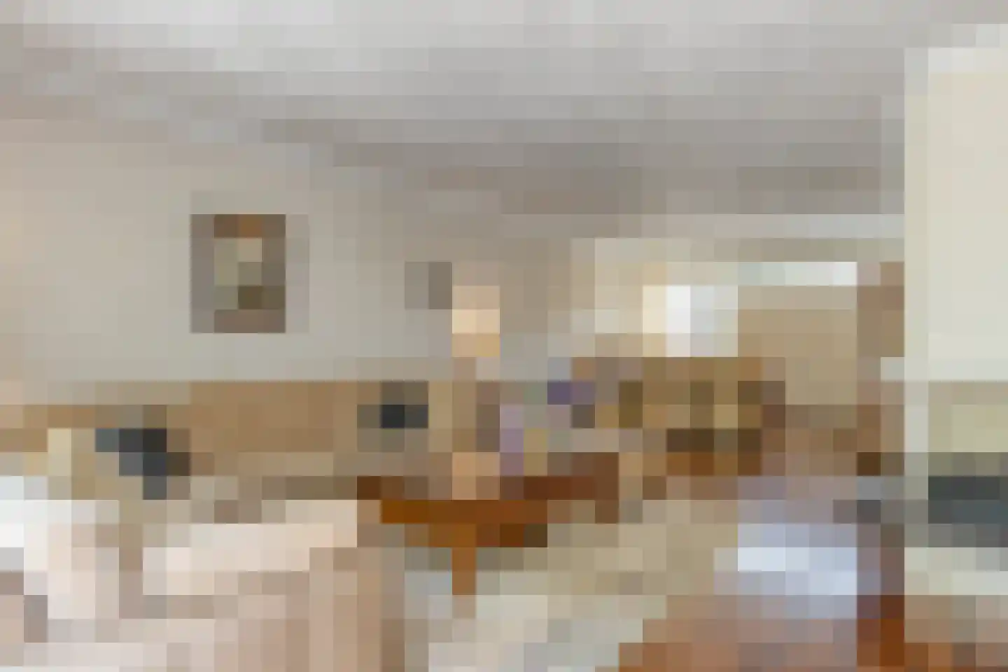 Arendhof 21 Nuenen thumbnail 10