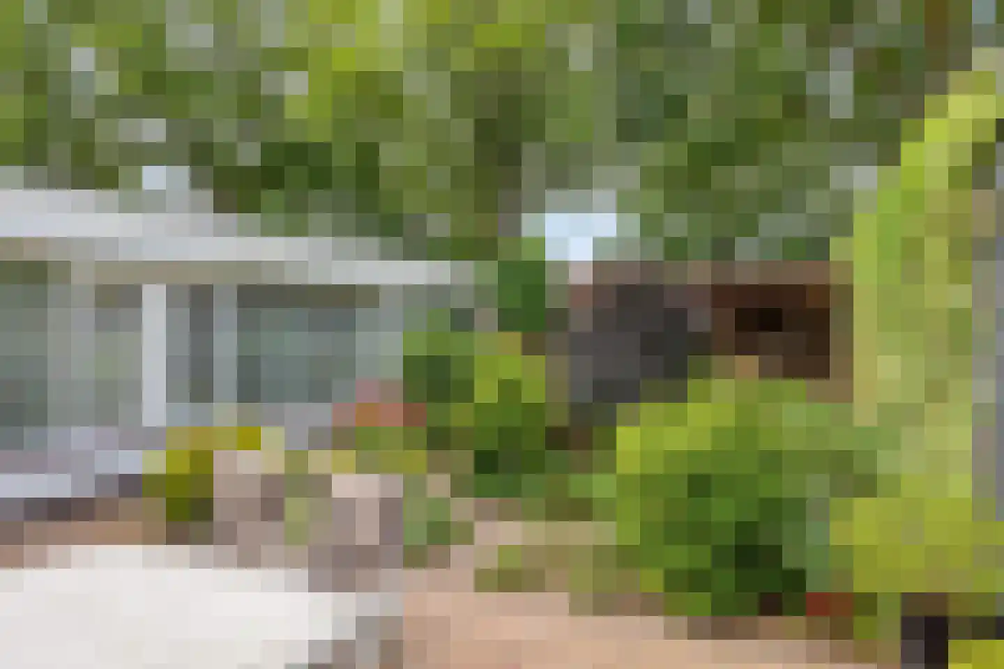 Arendhof 21 Nuenen thumbnail 27