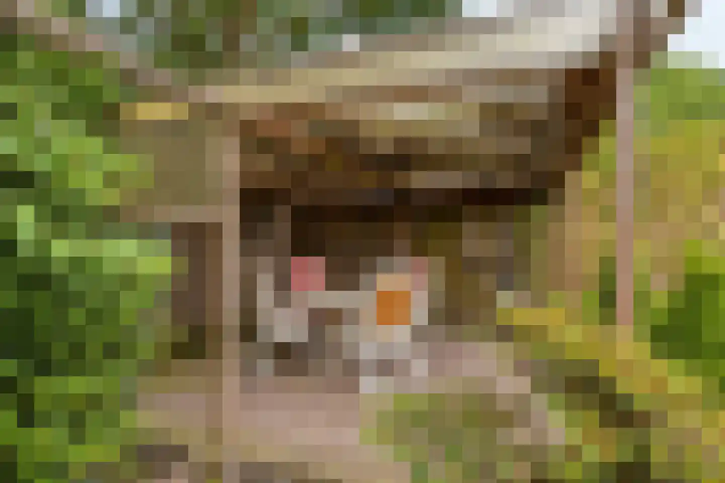 Arendhof 21 Nuenen thumbnail 29