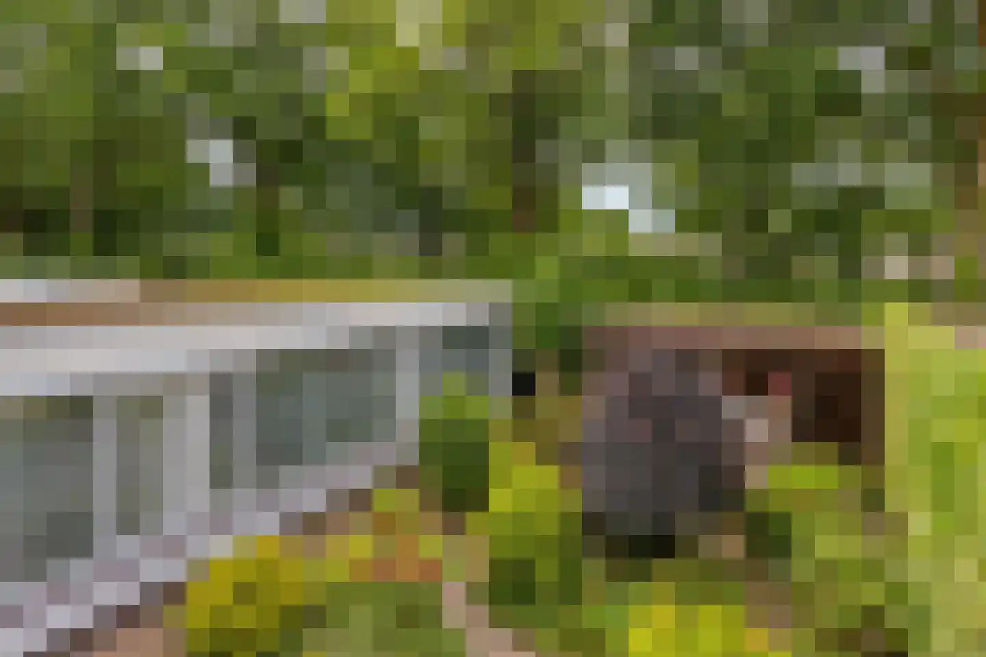 Arendhof 21 Nuenen thumbnail 31