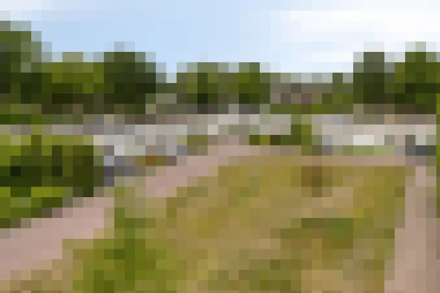 Arendhof 21 Nuenen thumbnail 32