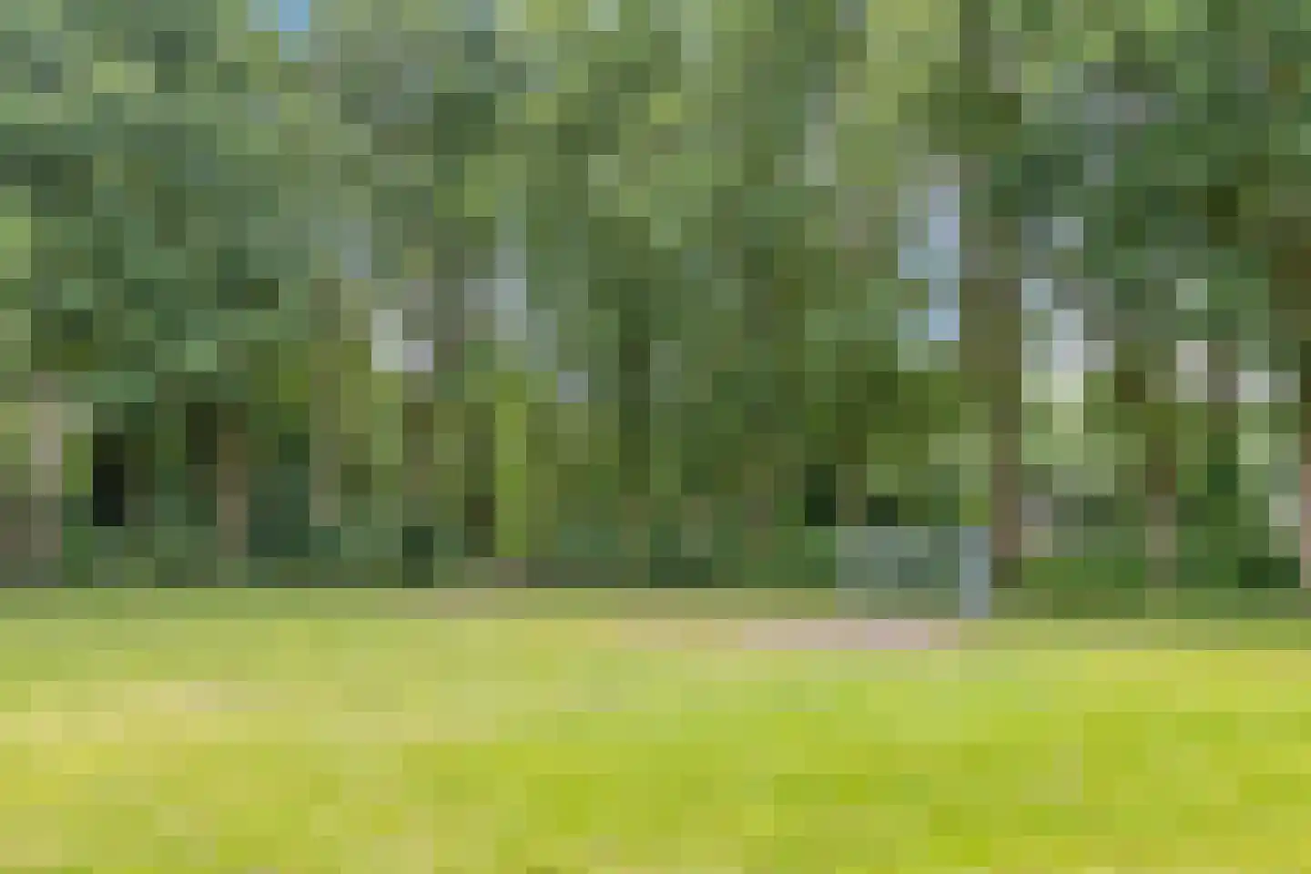Arendhof 21 Nuenen thumbnail 33