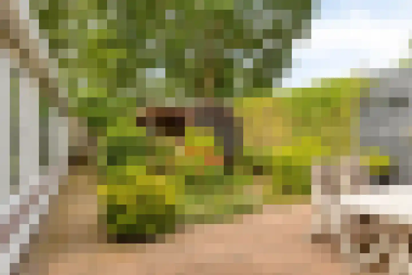 Arendhof 21 Nuenen thumbnail 4