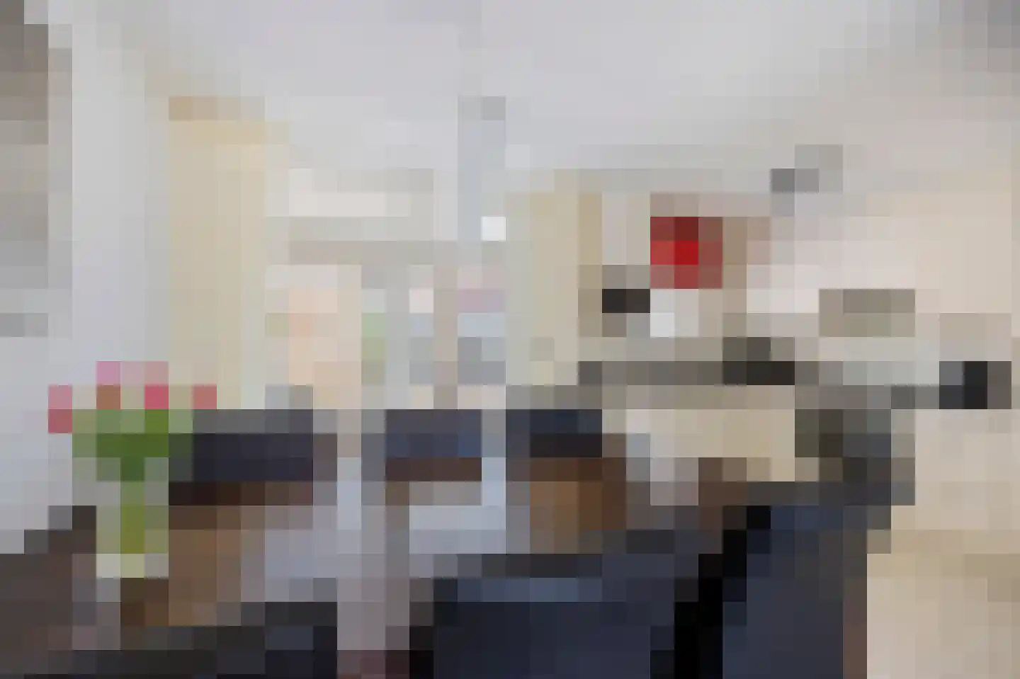 Arendhorst 18 Roermond thumbnail 12