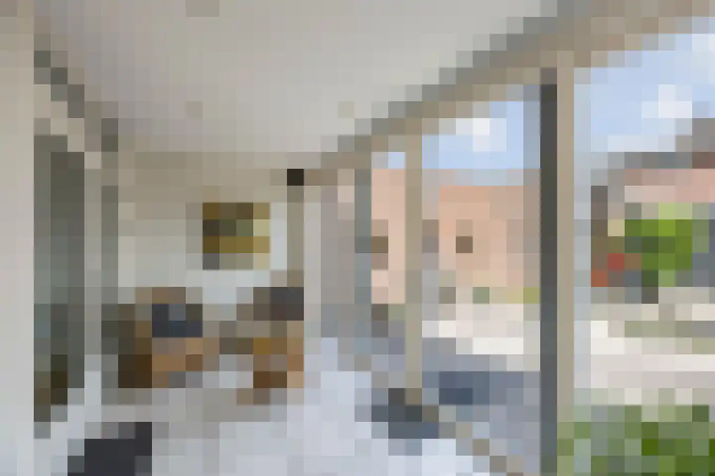 Arendhorst 18 Roermond thumbnail 14