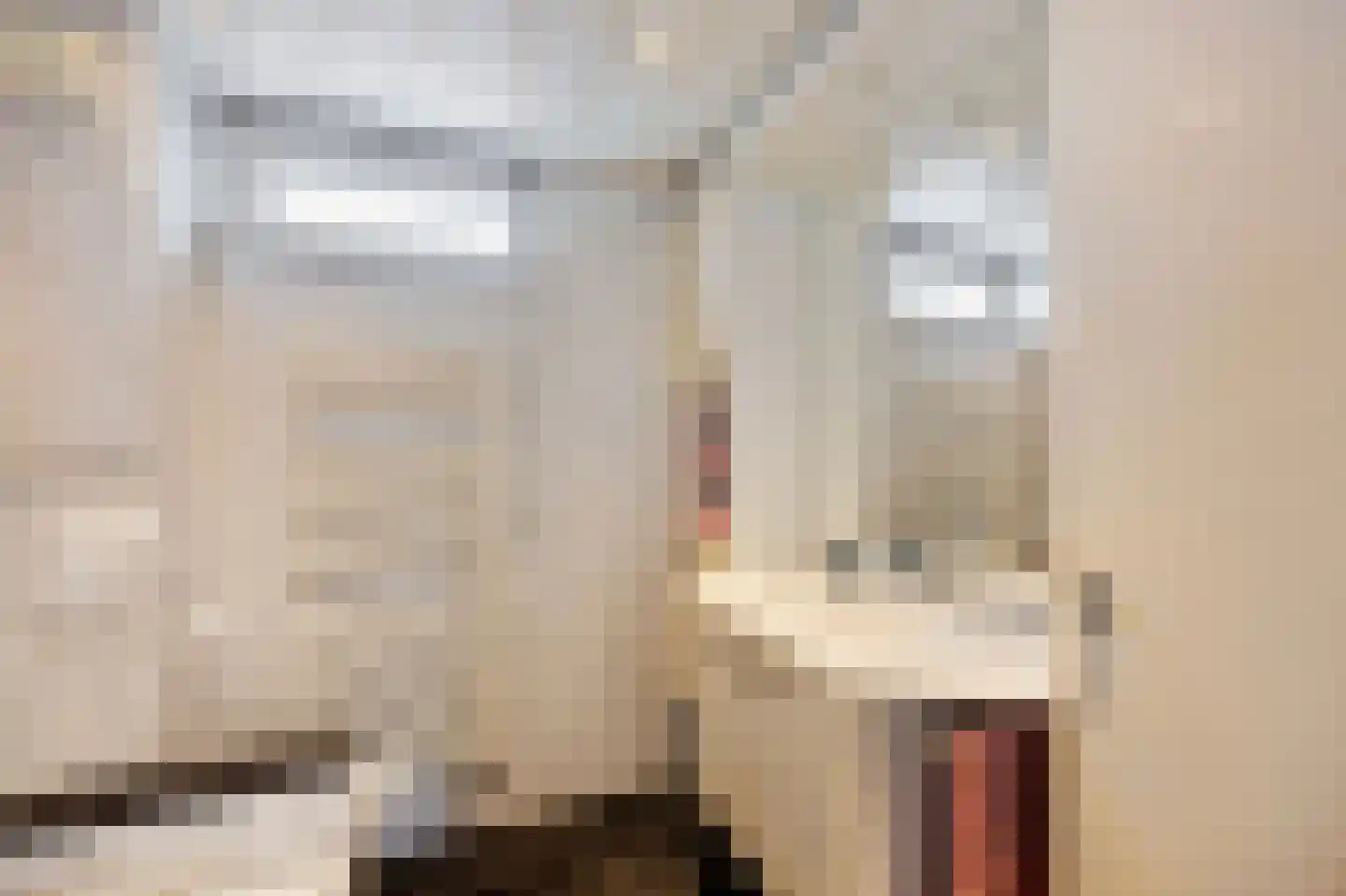 Arendhorst 18 Roermond thumbnail 18