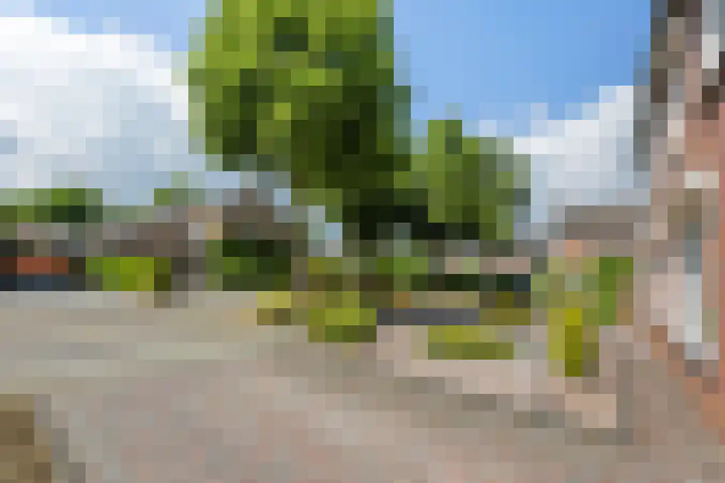 Arendhorst 18 Roermond thumbnail 30