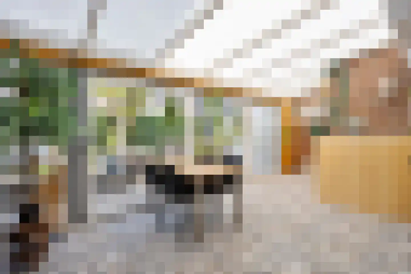 Arendhorst 20 Roermond thumbnail 24