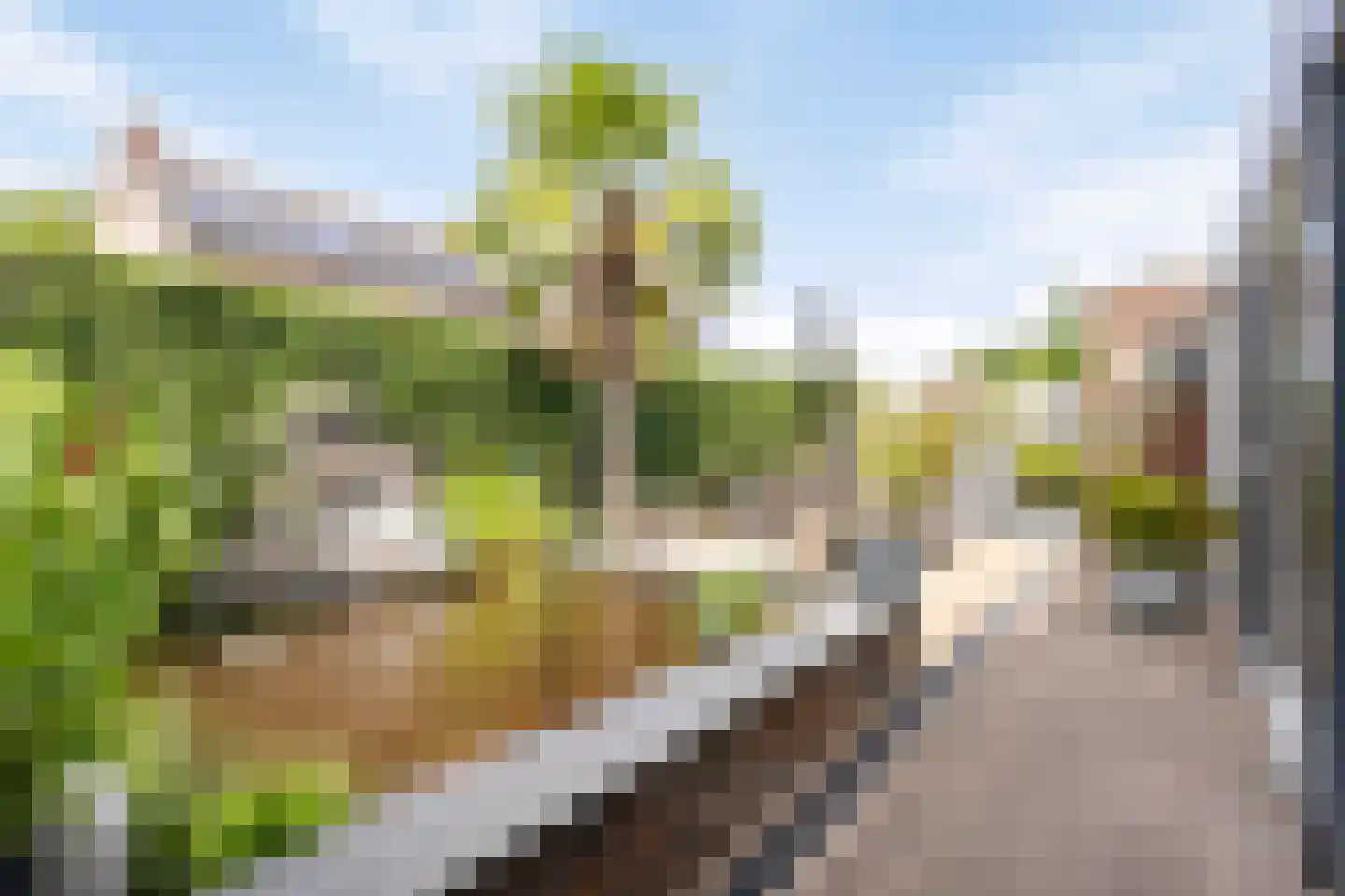 Arendhorst 20 Roermond thumbnail 43