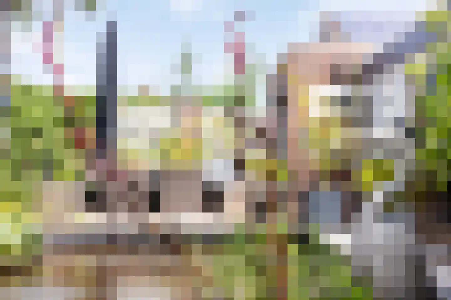 Arendhorst 20 Roermond thumbnail 46