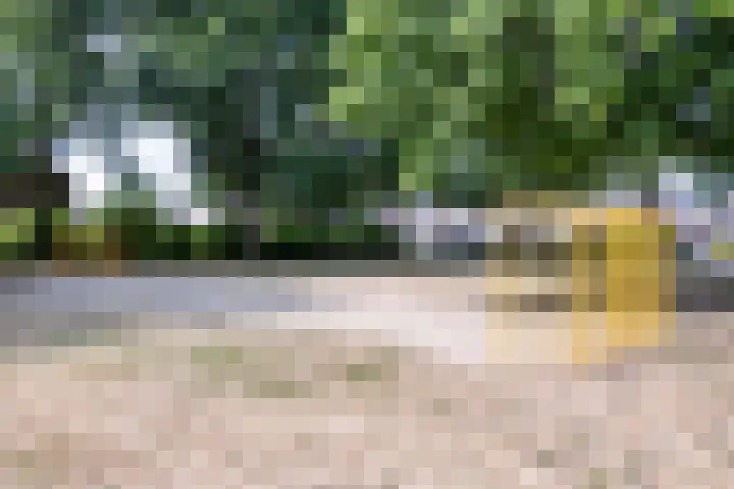Arendhorst 20 Roermond thumbnail 52
