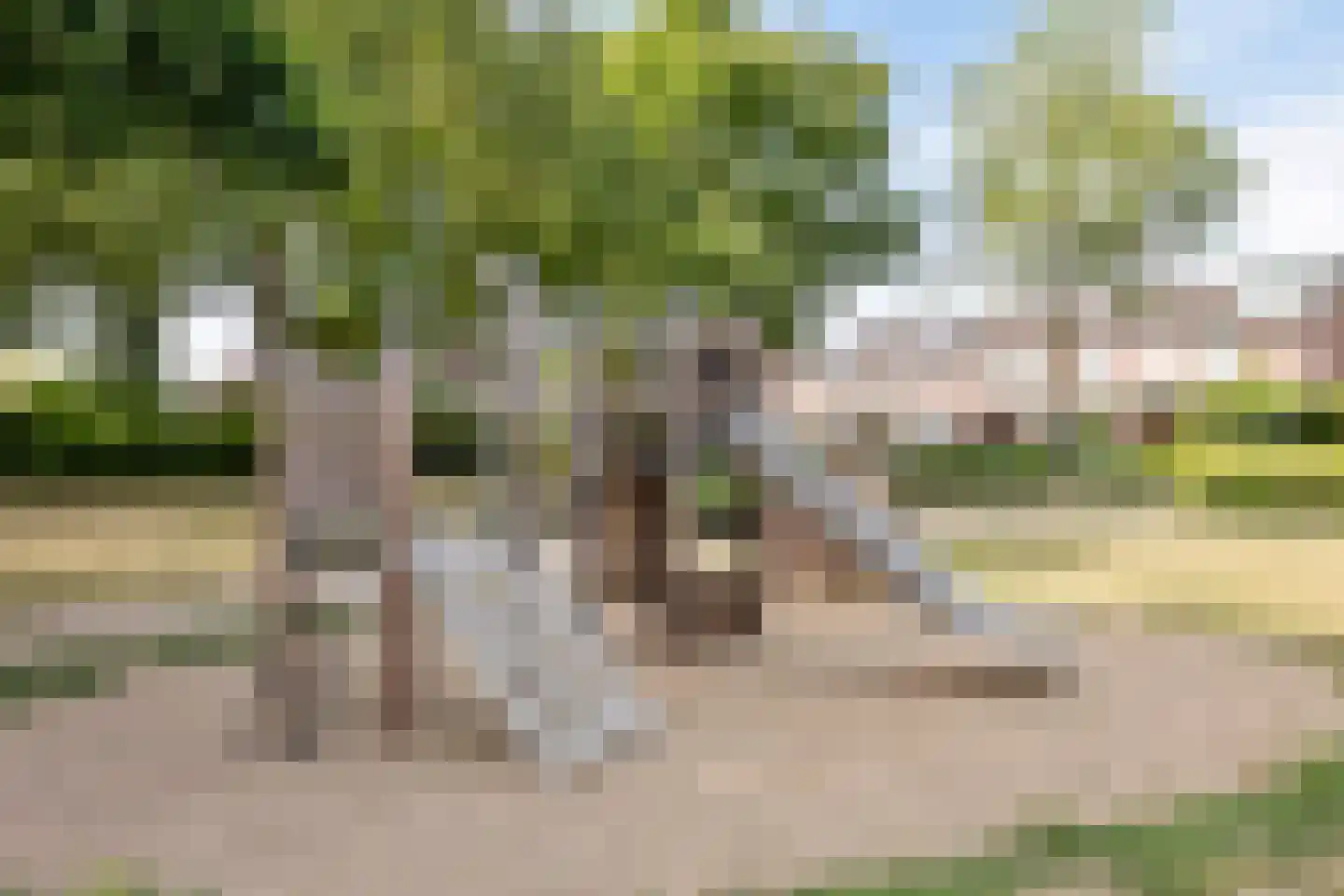 Arendhorst 20 Roermond thumbnail 53