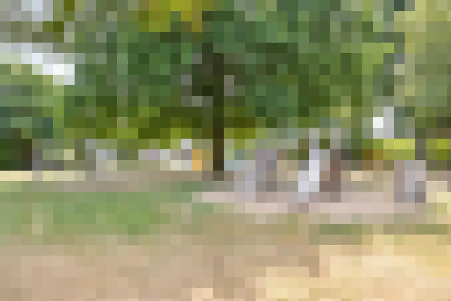 Arendhorst 20 Roermond thumbnail 54